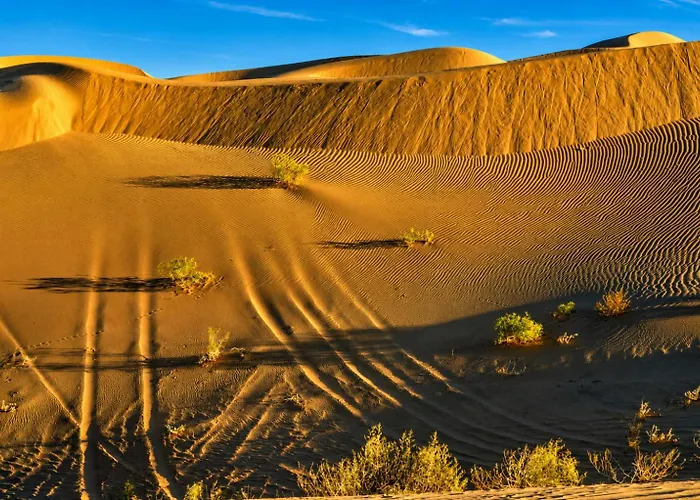 Rv Dry Near Arizona Dunes *